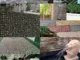 Natural Stone