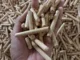 wood pellets 1